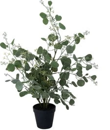 Intratuin Kunstplant Eucalyptus 35 X 35 X 62 Cm 1 Intratuin Kunstplant Eucalyptus 35 X 35 X 62 Cm