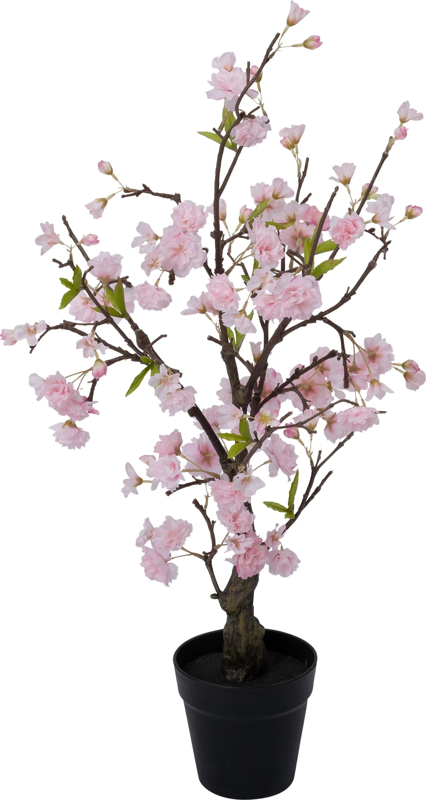 Intratuin Kunstplant Japanse Sierkers Roze 43 X 43 X 85 Cm 1 Intratuin Kunstplant Japanse Sierkers Roze 43 X 43 X 85 Cm