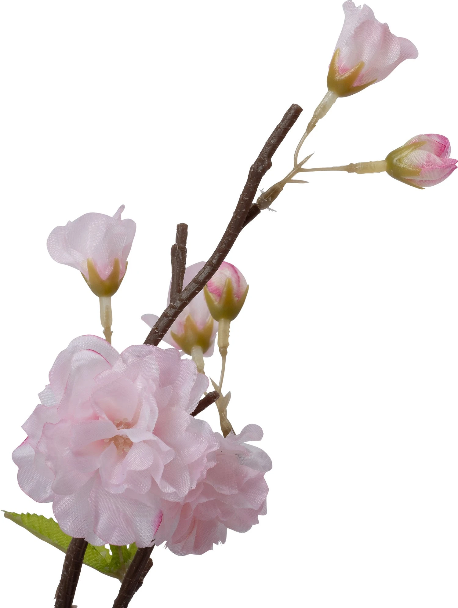 Intratuin Kunstplant Japanse Sierkers Roze 43 X 43 X 85 Cm 2 Intratuin Kunstplant Japanse Sierkers Roze 43 X 43 X 85 Cm - Afbeelding 2