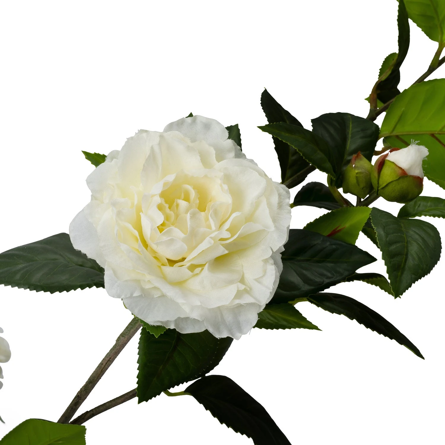 Intratuin Kunstplant Roos Wit 70 X 60 X 127 Cm 1 Intratuin Kunstplant Roos Wit 70 X 60 X 127 Cm