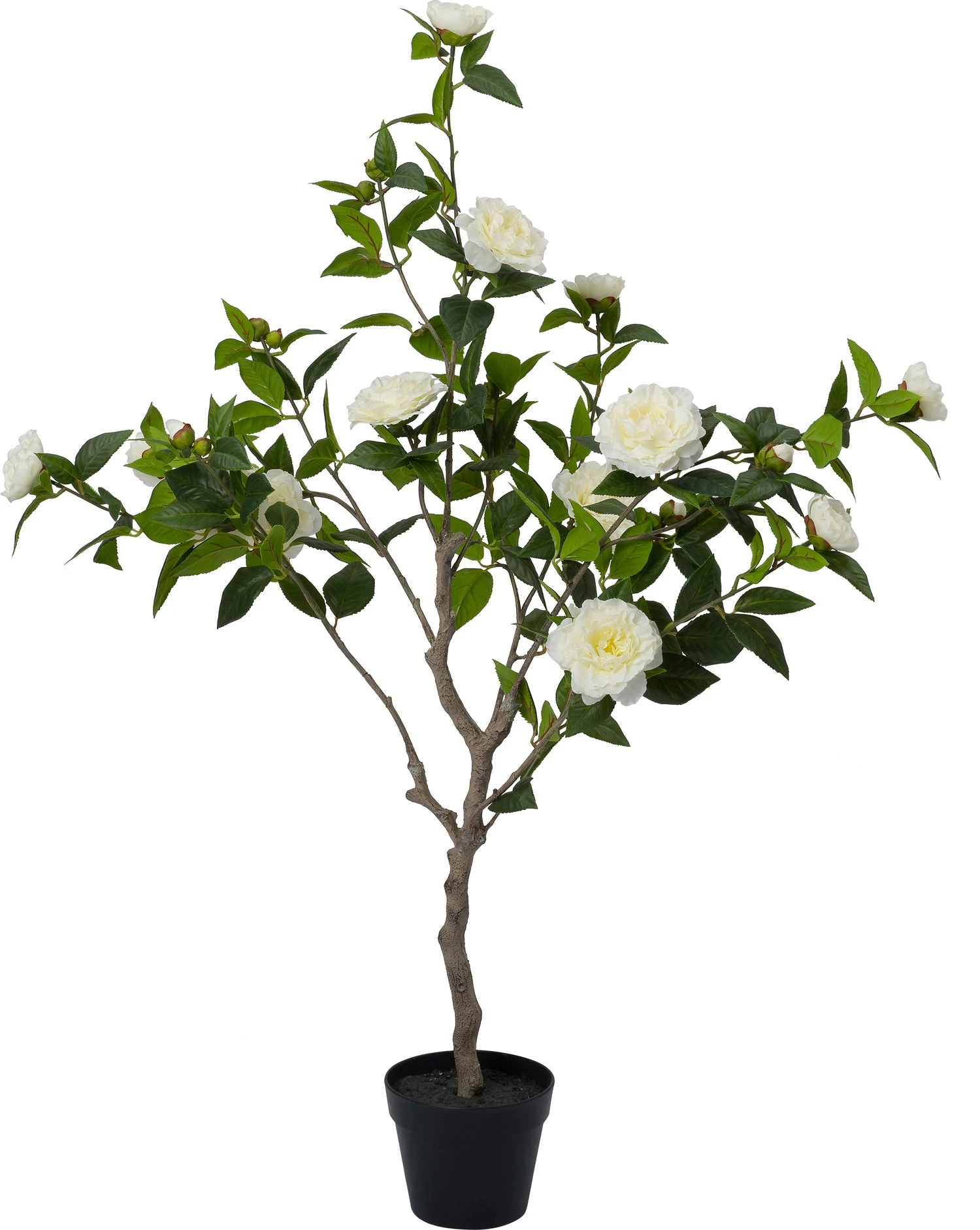 Intratuin Kunstplant Roos Wit 70 X 60 X 127 Cm 2 Intratuin Kunstplant Roos Wit 70 X 60 X 127 Cm - Afbeelding 2