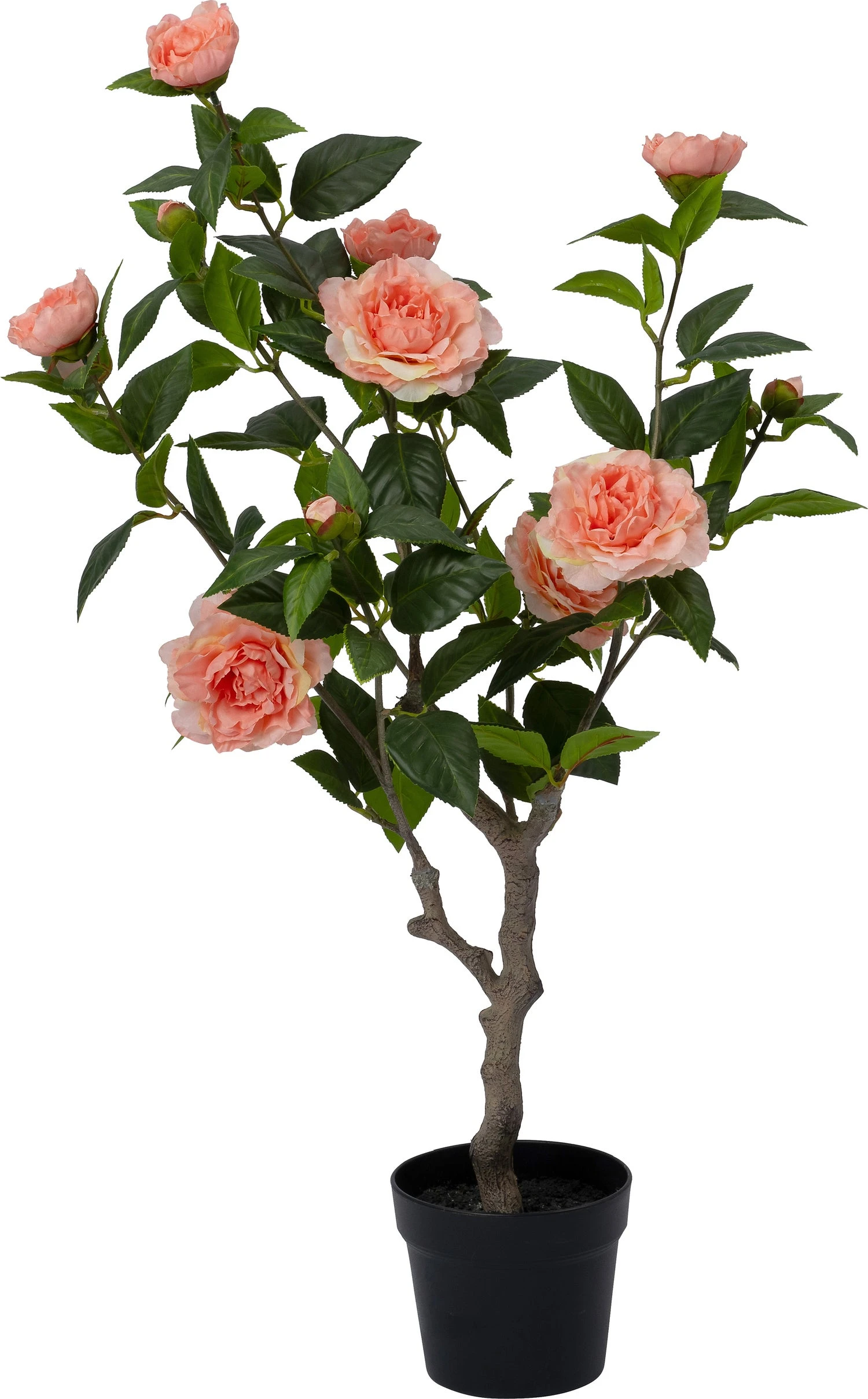 Intratuin Kunstplant Roos Roze 55 X 40 X 90 Cm 1 Intratuin Kunstplant Roos Roze 55 X 40 X 90 Cm