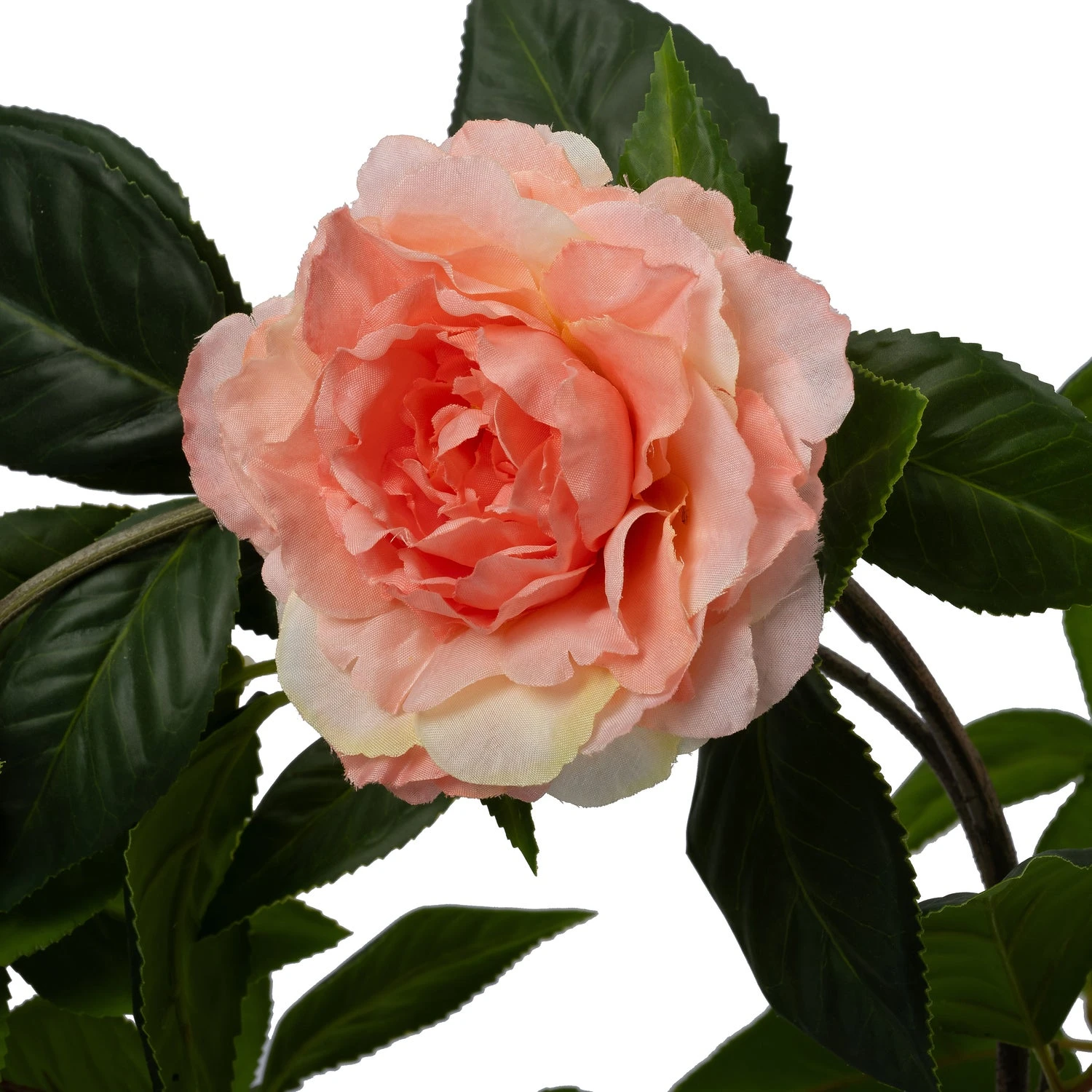 Intratuin Kunstplant Roos Roze 55 X 40 X 90 Cm 2 Intratuin Kunstplant Roos Roze 55 X 40 X 90 Cm - Afbeelding 2