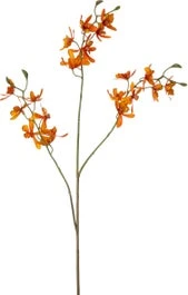 Intratuin Kunstbloem Kattenstaartorchidee Oranje 72 Cm 1 Intratuin Kunstbloem Kattenstaartorchidee Oranje 72 Cm