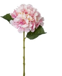 Intratuin Kunstbloem Hortensia Roze 60 Cm 1 Intratuin Kunstbloem Hortensia Roze 60 Cm
