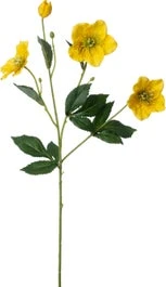 Intratuin Kunstbloem Helleborus Geel 72 Cm 1 Intratuin Kunstbloem Helleborus Geel 72 Cm