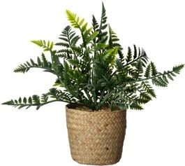 Intratuin Kunstplant Varen 11 X 11 X 26 Cm 1 Intratuin Kunstplant Varen 11 X 11 X 26 Cm