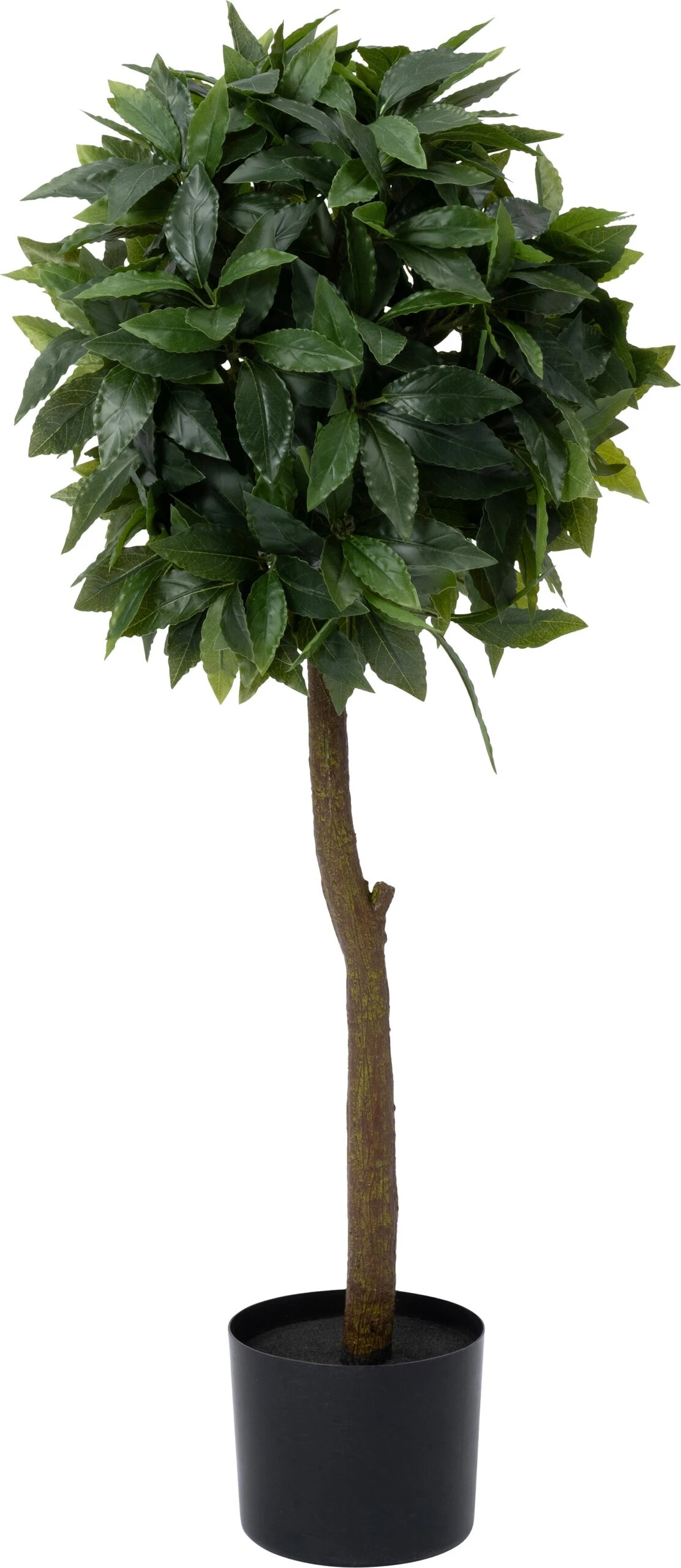 Intratuin Kunstplant Laurier 35 X 35 X 90 Cm 1 Intratuin Kunstplant Laurier 35 X 35 X 90 Cm
