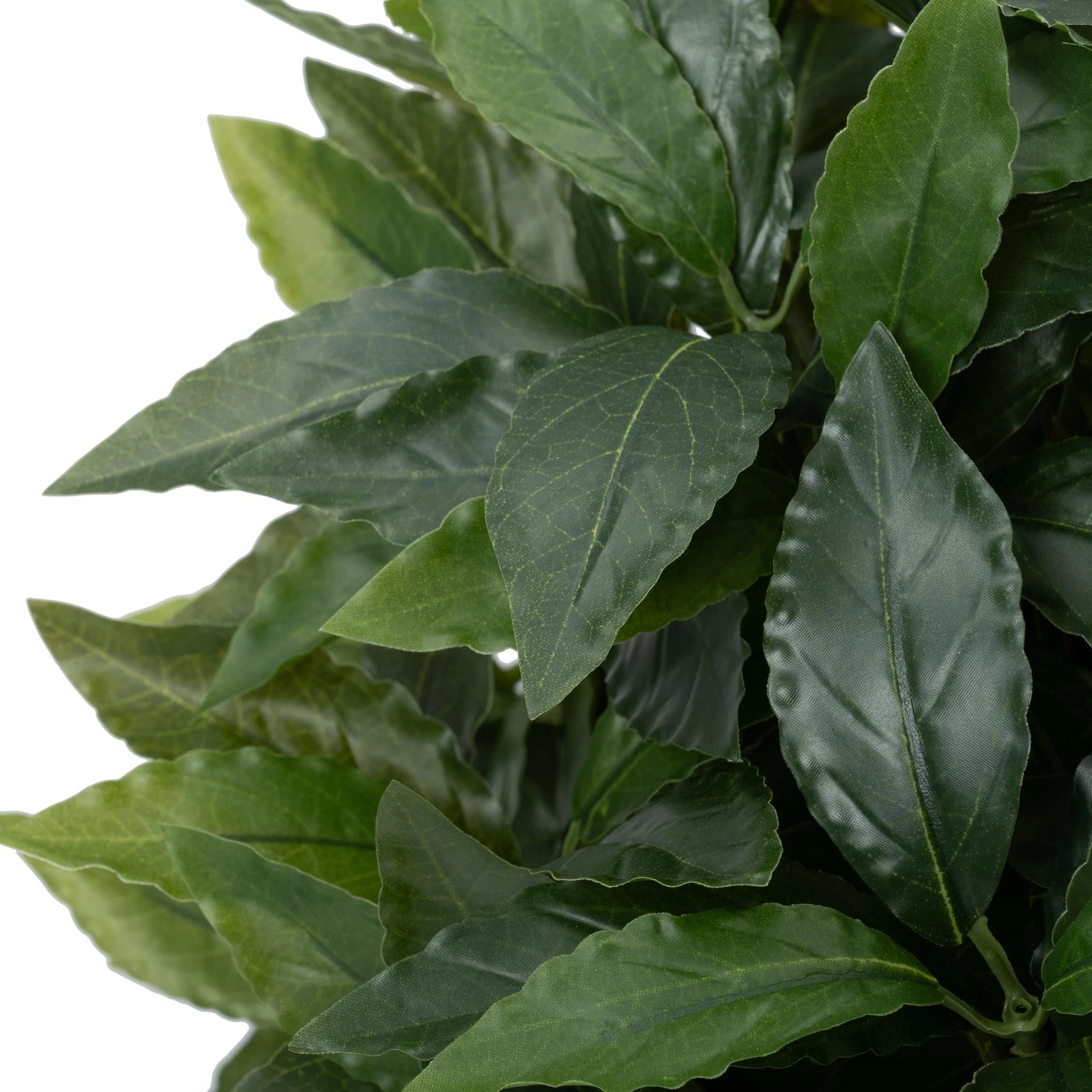 Intratuin Kunstplant Laurier 35 X 35 X 90 Cm 2 Intratuin Kunstplant Laurier 35 X 35 X 90 Cm - Afbeelding 2