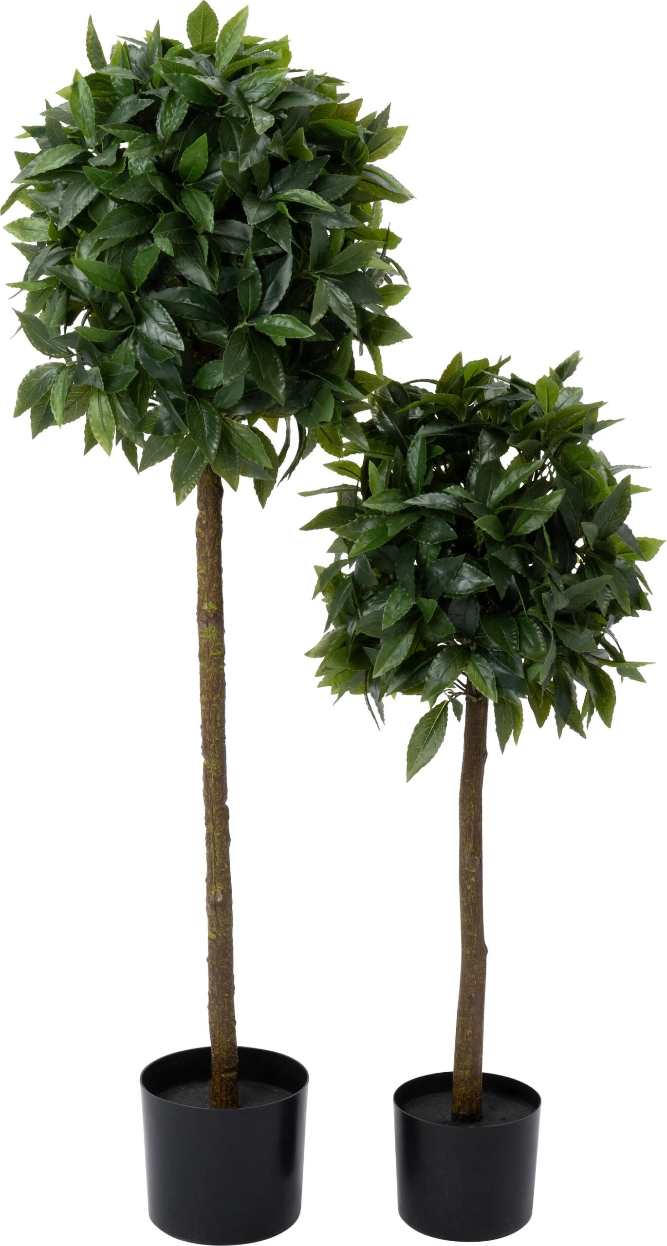 Intratuin Kunstplant Laurier 35 X 35 X 90 Cm 3 Intratuin Kunstplant Laurier 35 X 35 X 90 Cm - Afbeelding 3