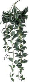 Intratuin Kunsthangplant Vaderplant Donkergroen 25 X 10 X 100 Cm 1 Intratuin Kunsthangplant Vaderplant Donkergroen 25 X 10 X 100 Cm