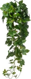 Intratuin Kunsthangplant Klimop Donkergroen 25 X 10 X 100 Cm 1 Intratuin Kunsthangplant Klimop Donkergroen 25 X 10 X 100 Cm