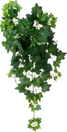 Intratuin Kunsthangplant Klimop Donkergroen 15 X 6 X 60 Cm 1 Intratuin Kunsthangplant Klimop Donkergroen 15 X 6 X 60 Cm