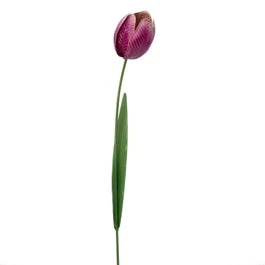 Intratuin Tuinsteker Tulp Paars 13 X 10 X 76 Cm 1 Intratuin Tuinsteker Tulp Paars 13 X 10 X 76 Cm