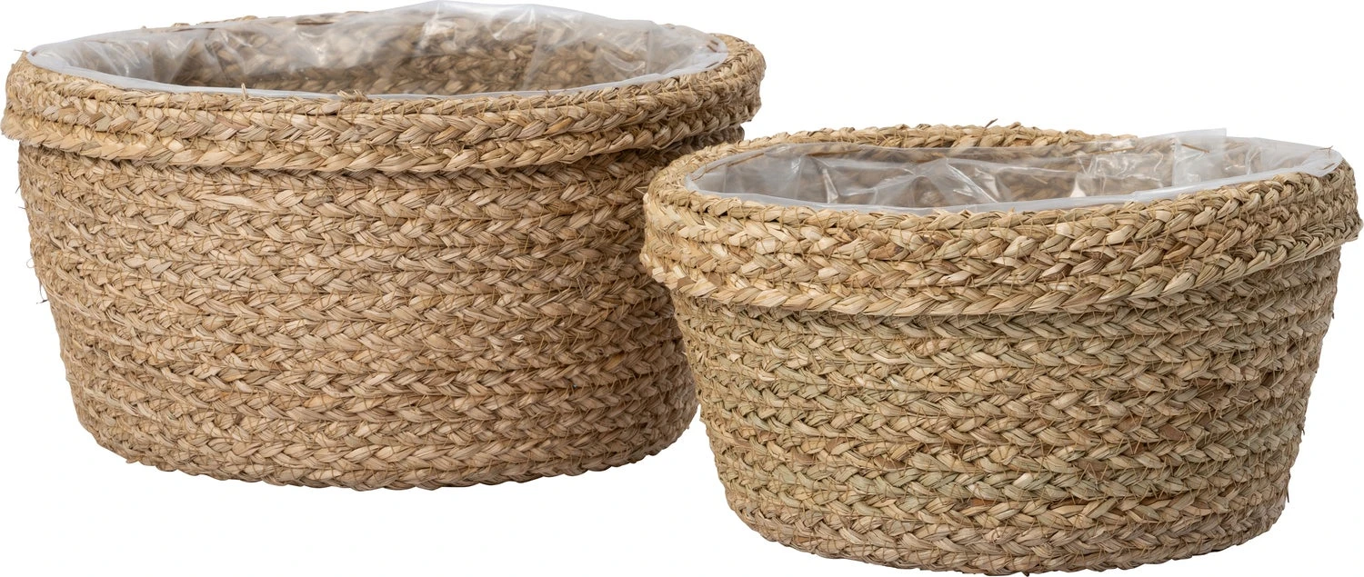 Intratuin Plantenmand Rae Naturel D 24 H 13 Cm 2 Intratuin Plantenmand Rae Naturel D 24 H 13 Cm - Afbeelding 2