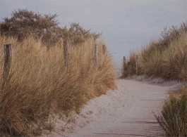 Intratuin Tuinschilderij Canva Pad In Duinen 70 X 50 Cm 1 Intratuin Tuinschilderij Canva Pad In Duinen 70 X 50 Cm