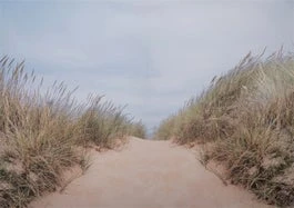 Intratuin Tuinschilderij Canva Strandpad 70 X 50 Cm 1 Intratuin Tuinschilderij Canva Strandpad 70 X 50 Cm