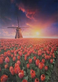 Intratuin Tuinschilderij Canva Molen 40 X 30 Cm 1 Intratuin Tuinschilderij Canva Molen 40 X 30 Cm