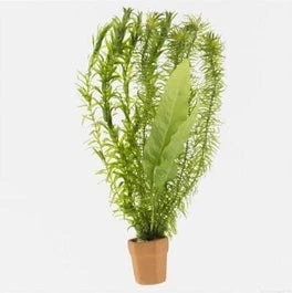 Viskombosje Terra Cotta In Beker () D 10 H 15 Cm