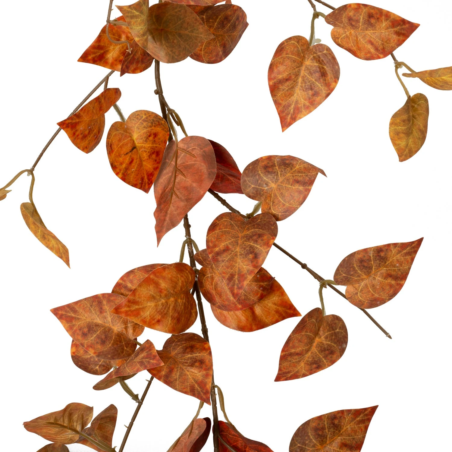 Intratuin Kunsthangplant Elfenbloem Oranje 5 X 25 X 170 Cm 1 Intratuin Kunsthangplant Elfenbloem Oranje 5 X 25 X 170 Cm