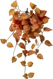 Intratuin Kunsthangplant Elfenbloem Oranje 10 X 22 X 60 Cm 1 Intratuin Kunsthangplant Elfenbloem Oranje 10 X 22 X 60 Cm