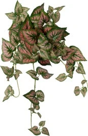 Intratuin Kunsthangplant Bladbegonia Rood Groen 10 X 22 X 60 Cm 1 Intratuin Kunsthangplant Bladbegonia Rood Groen 10 X 22 X 60 Cm