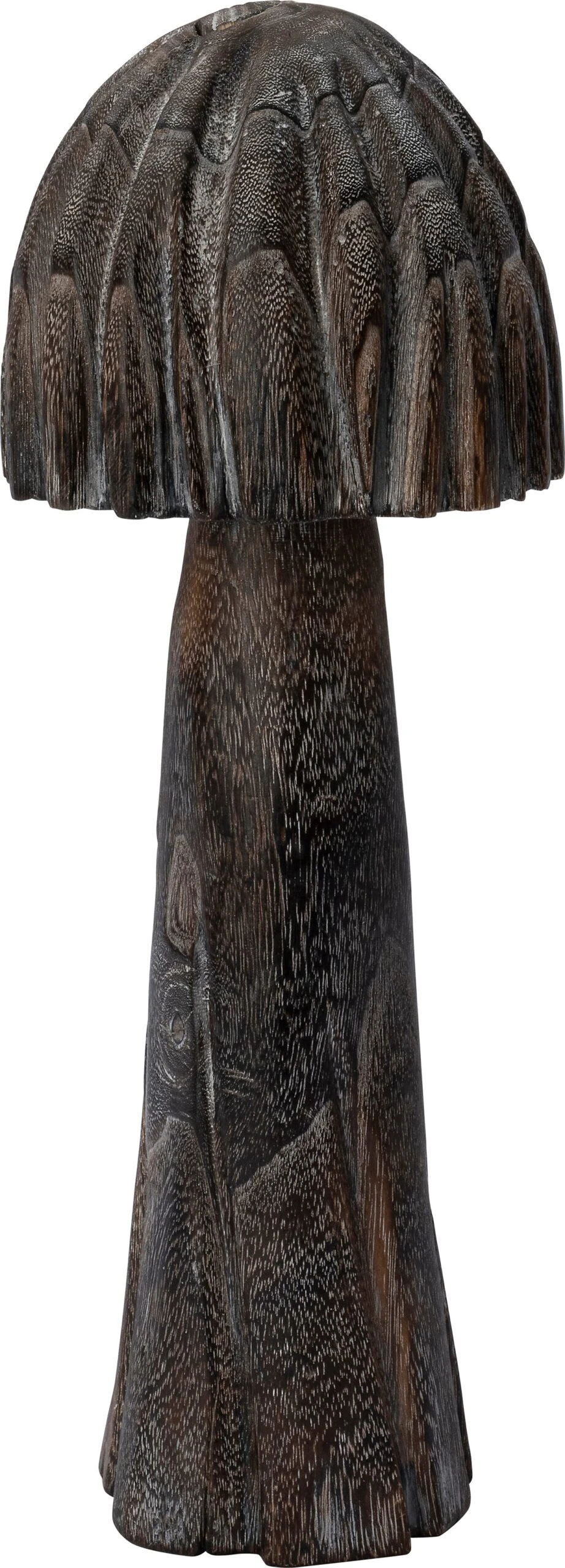 Intratuin Paddenstoel Pien Zwart D 16 H 42 Cm 1 Intratuin Paddenstoel Pien Zwart D 16 H 42 Cm