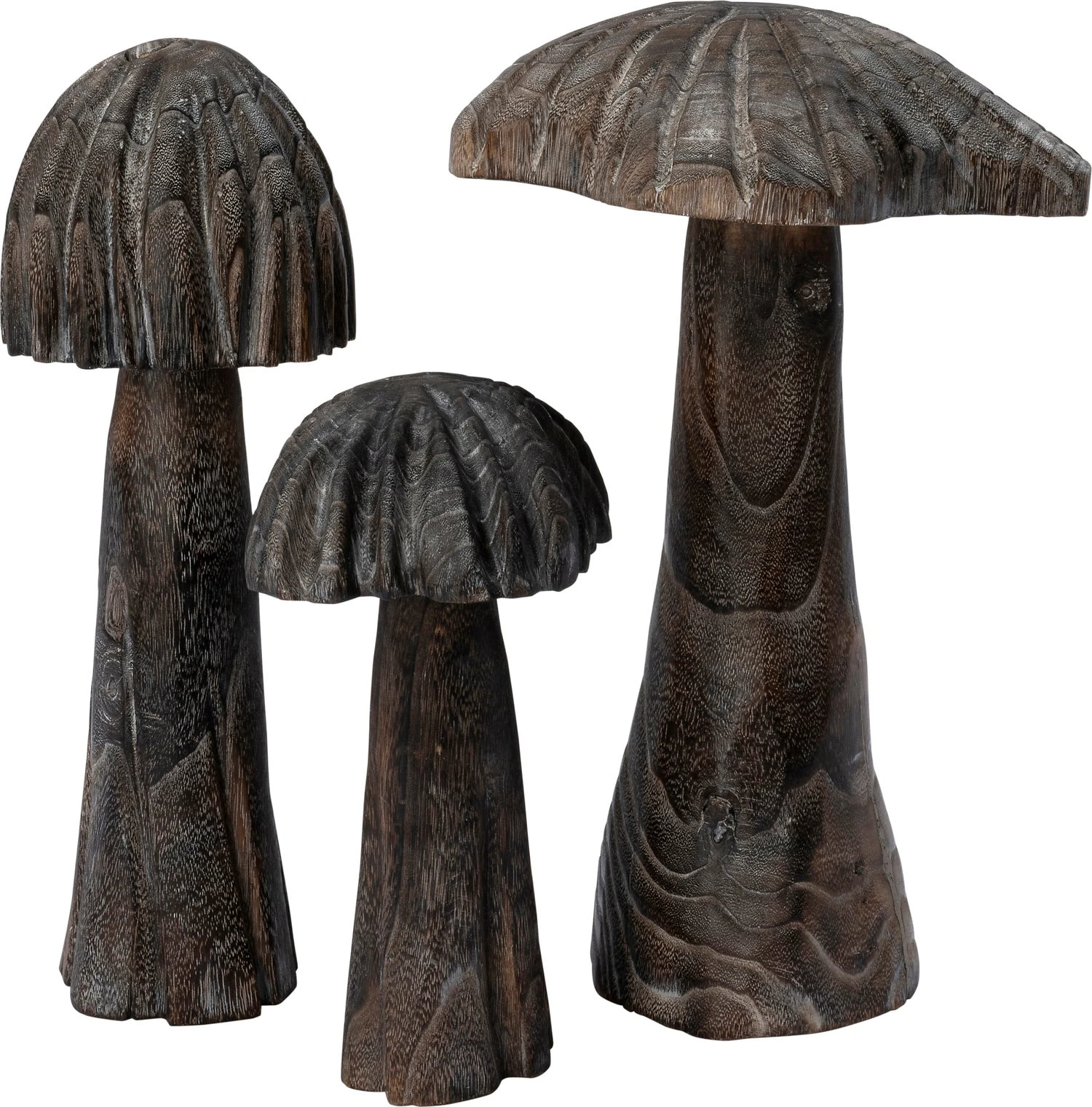 Intratuin Paddenstoel Pien Zwart D 16 H 42 Cm 2 Intratuin Paddenstoel Pien Zwart D 16 H 42 Cm - Afbeelding 2