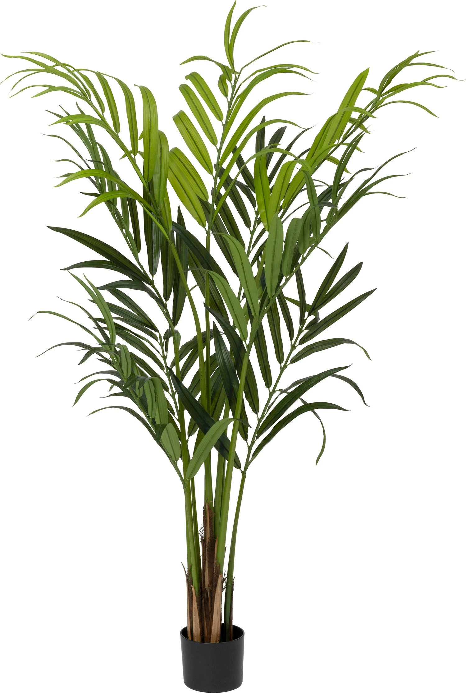 Intratuin Kunstplant Kentiapalm 40 X 40 X 160 Cm 1 Intratuin Kunstplant Kentiapalm 40 X 40 X 160 Cm
