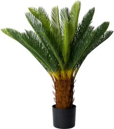 Intratuin Kunstplant Palmvaren Groen 90 X 90 X 90 Cm 1 Intratuin Kunstplant Palmvaren Groen 90 X 90 X 90 Cm