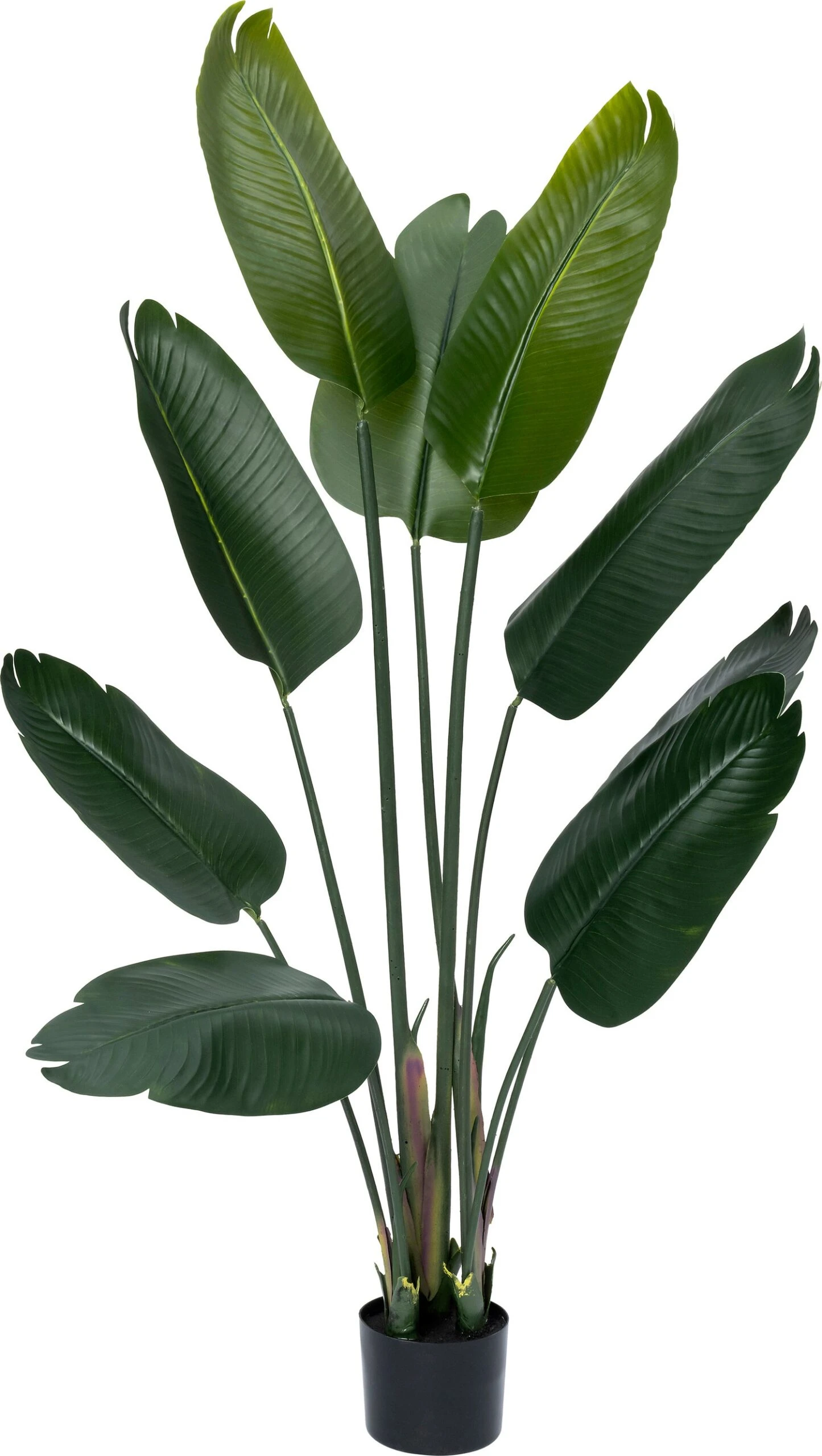 Intratuin Kunstplant Strelitzia Groen D 80 H 140 Cm 1 Intratuin Kunstplant Strelitzia Groen D 80 H 140 Cm