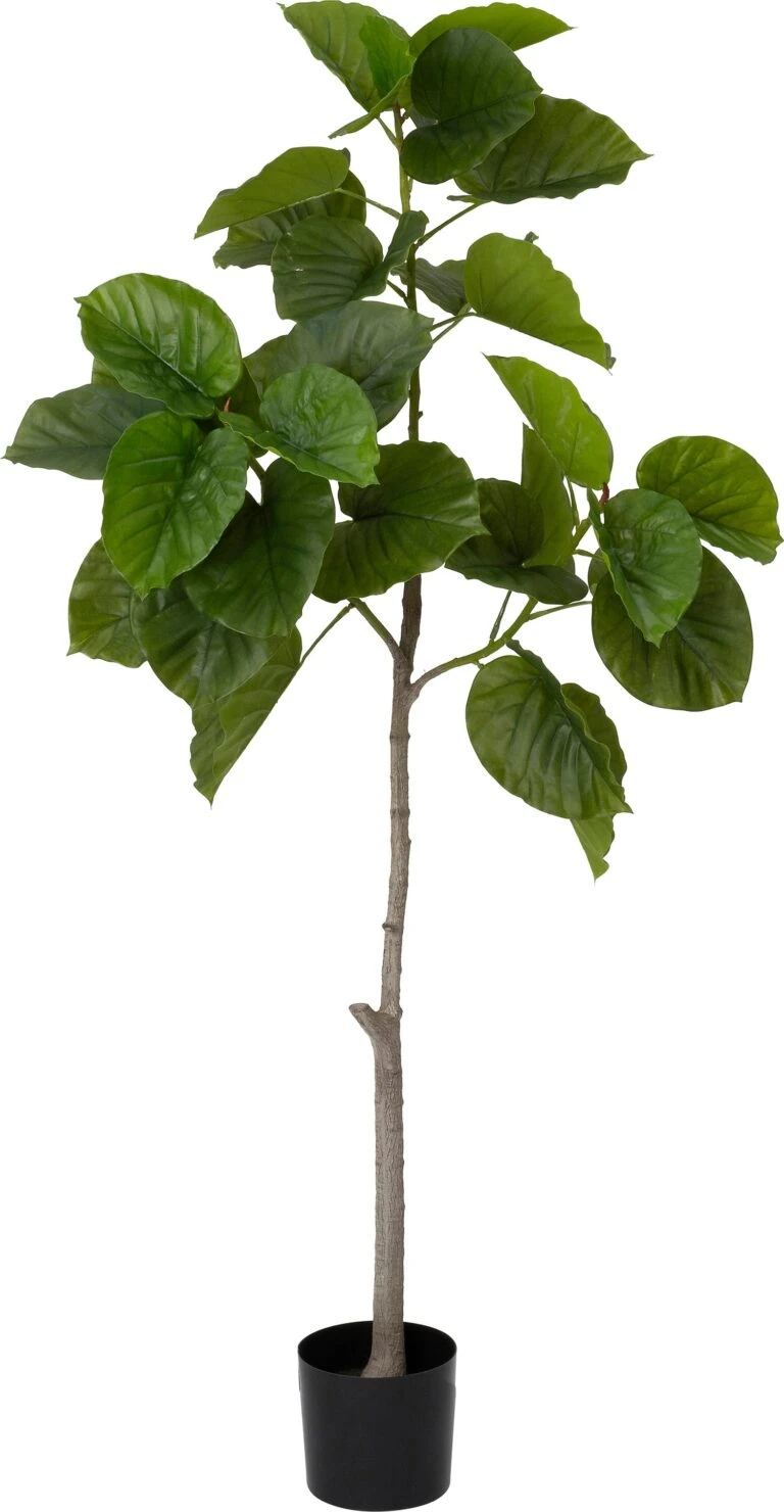 Intratuin Kunstplant Bayanvijg Groen 90 X 80 X 174 Cm