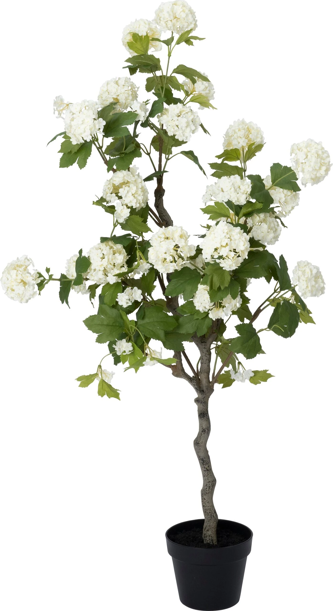 Intratuin Kunstplant Hortensia Crème 17,5 X 17,5 X 122 Cm 1 Intratuin Kunstplant Hortensia Crème 17,5 X 17,5 X 122 Cm