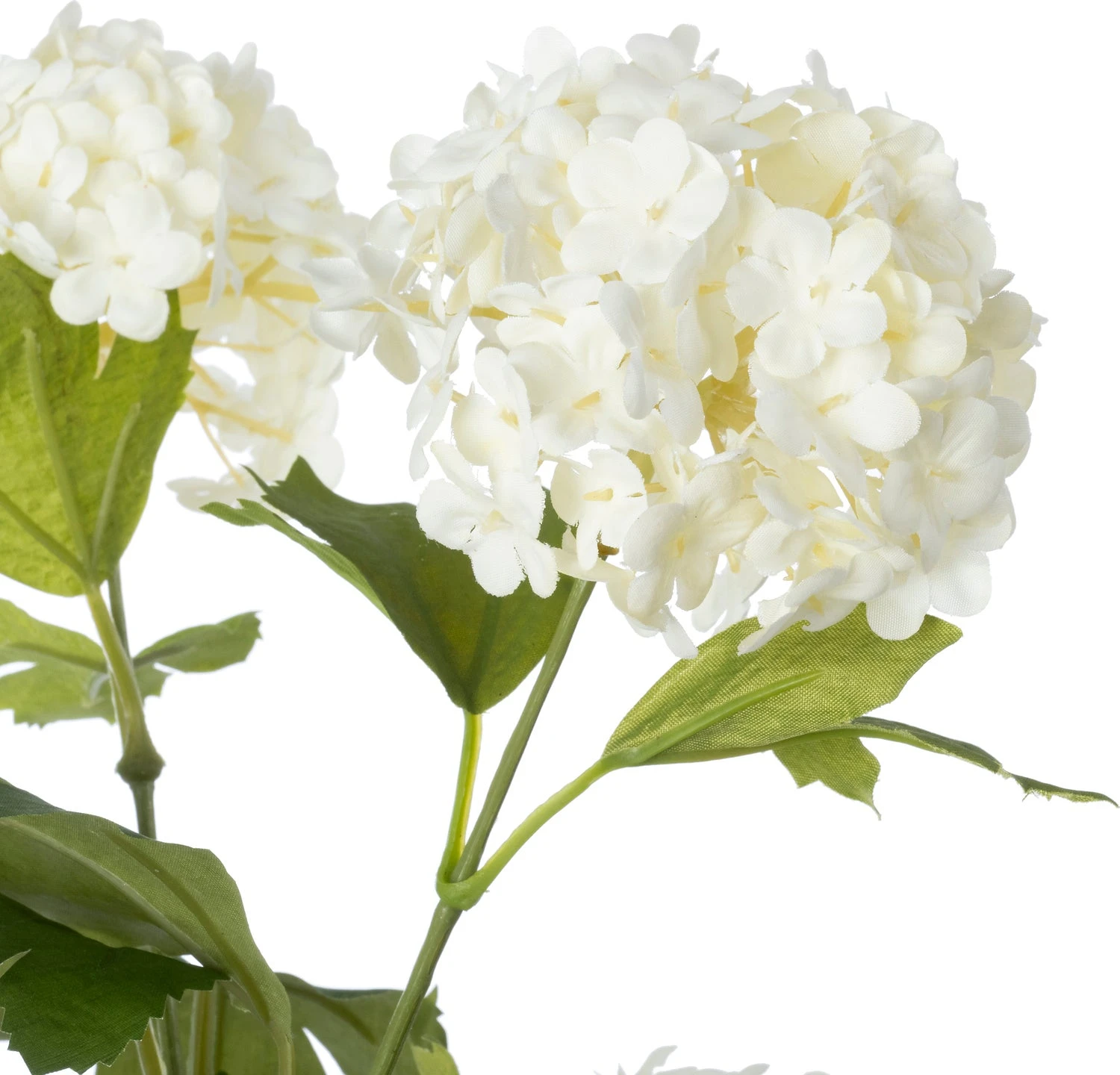 Intratuin Kunstplant Hortensia Crème 17,5 X 17,5 X 122 Cm 2 Intratuin Kunstplant Hortensia Crème 17,5 X 17,5 X 122 Cm - Afbeelding 2