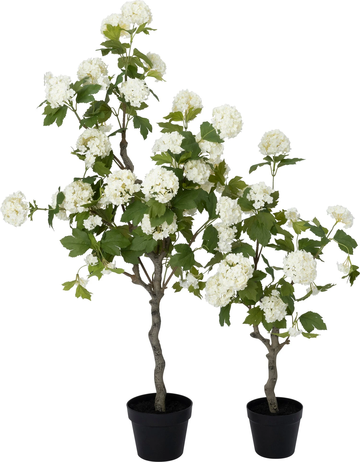 Intratuin Kunstplant Hortensia Crème 17,5 X 17,5 X 122 Cm 3 Intratuin Kunstplant Hortensia Crème 17,5 X 17,5 X 122 Cm - Afbeelding 3