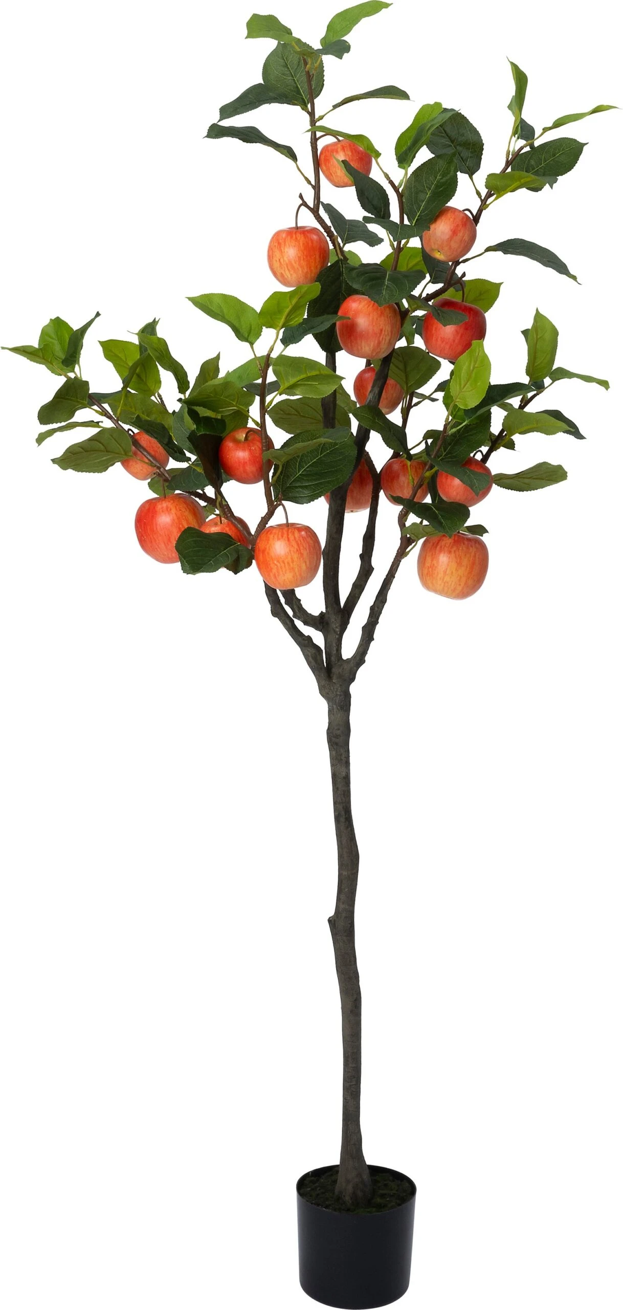 Intratuin Kunstplant Appelboom Groen 14,5 X 14,5 X 157 Cm 1 Intratuin Kunstplant Appelboom Groen 14,5 X 14,5 X 157 Cm