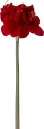 Intratuin Kunstbloem Amaryllis Rood 72 Cm