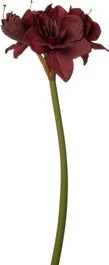 Intratuin Kunstbloem Amaryllis Donkerrood 72 Cm