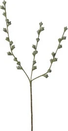 Intratuin Kunsttak Eucalyptus Zaden Groen 60 Cm 1 Intratuin Kunsttak Eucalyptus Zaden Groen 60 Cm