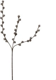 Intratuin Kunsttak Eucalyptus Zaden Bruin 60 Cm 1 Intratuin Kunsttak Eucalyptus Zaden Bruin 60 Cm