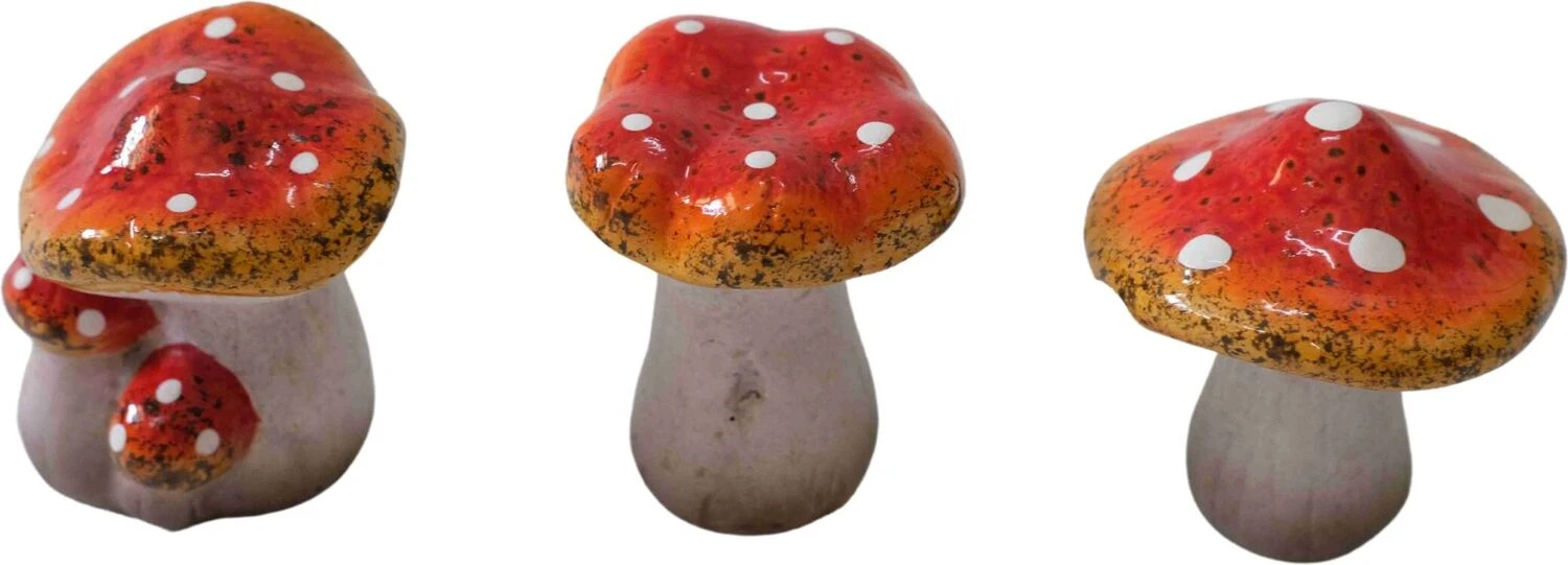 Intratuin Tuinbeeld Paddenstoelen Rood / Wit 6 X 7 X 8 Cm 3 Stuks 1 Intratuin Tuinbeeld Paddenstoelen Rood / Wit 6 X 7 X 8 Cm 3 Stuks