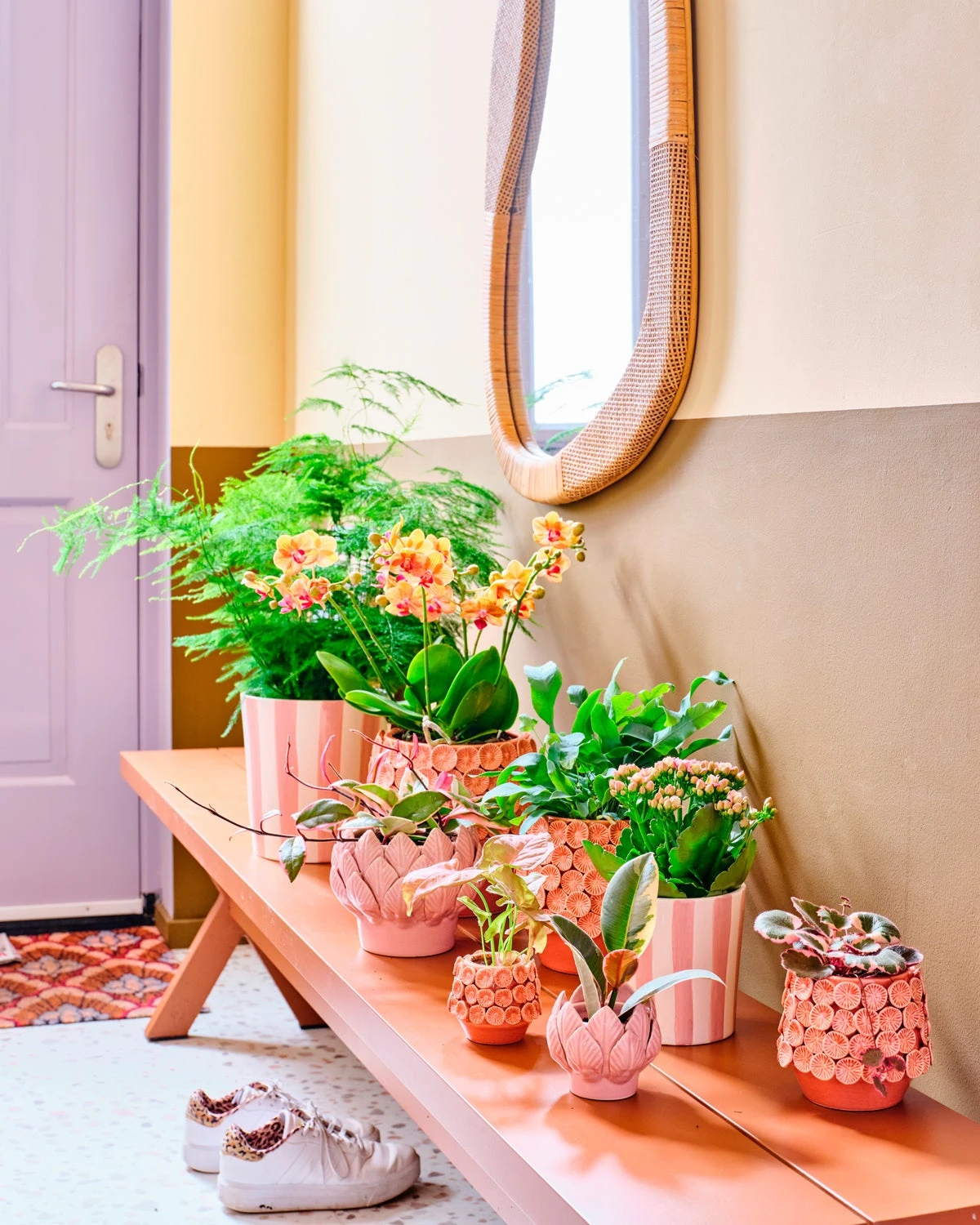 Intratuin Bloempot Julian Roze D 22 H 20 Cm 4 Intratuin Bloempot Julian Roze D 22 H 20 Cm - Afbeelding 4