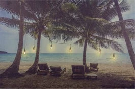 Intratuin Canvas Palmbomen 60 X 40 Cm