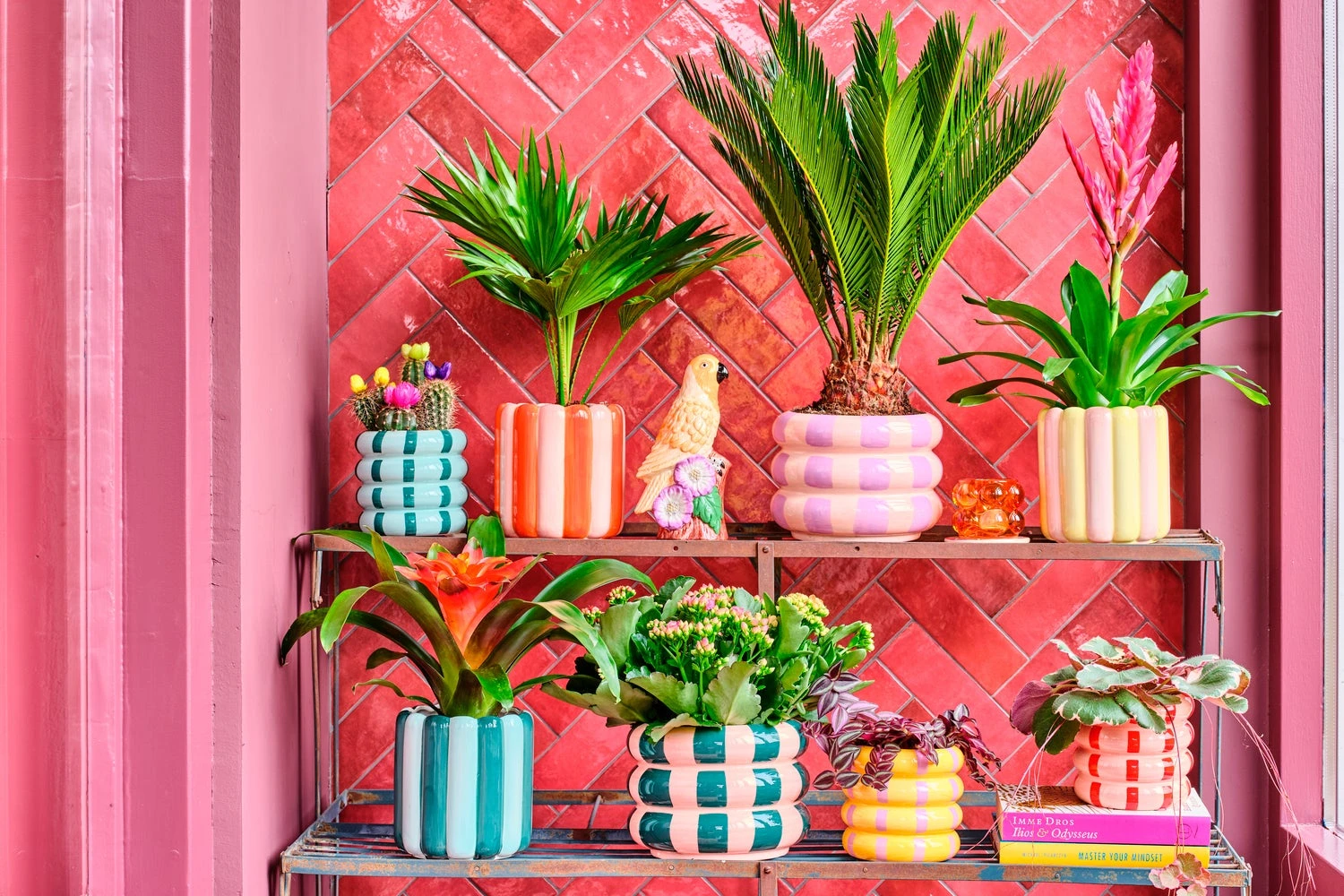 Intratuin Bloempot Owen Roze / Rood D 12,5 H 12 Cm 3 Intratuin Bloempot Owen Roze / Rood D 12,5 H 12 Cm - Afbeelding 3