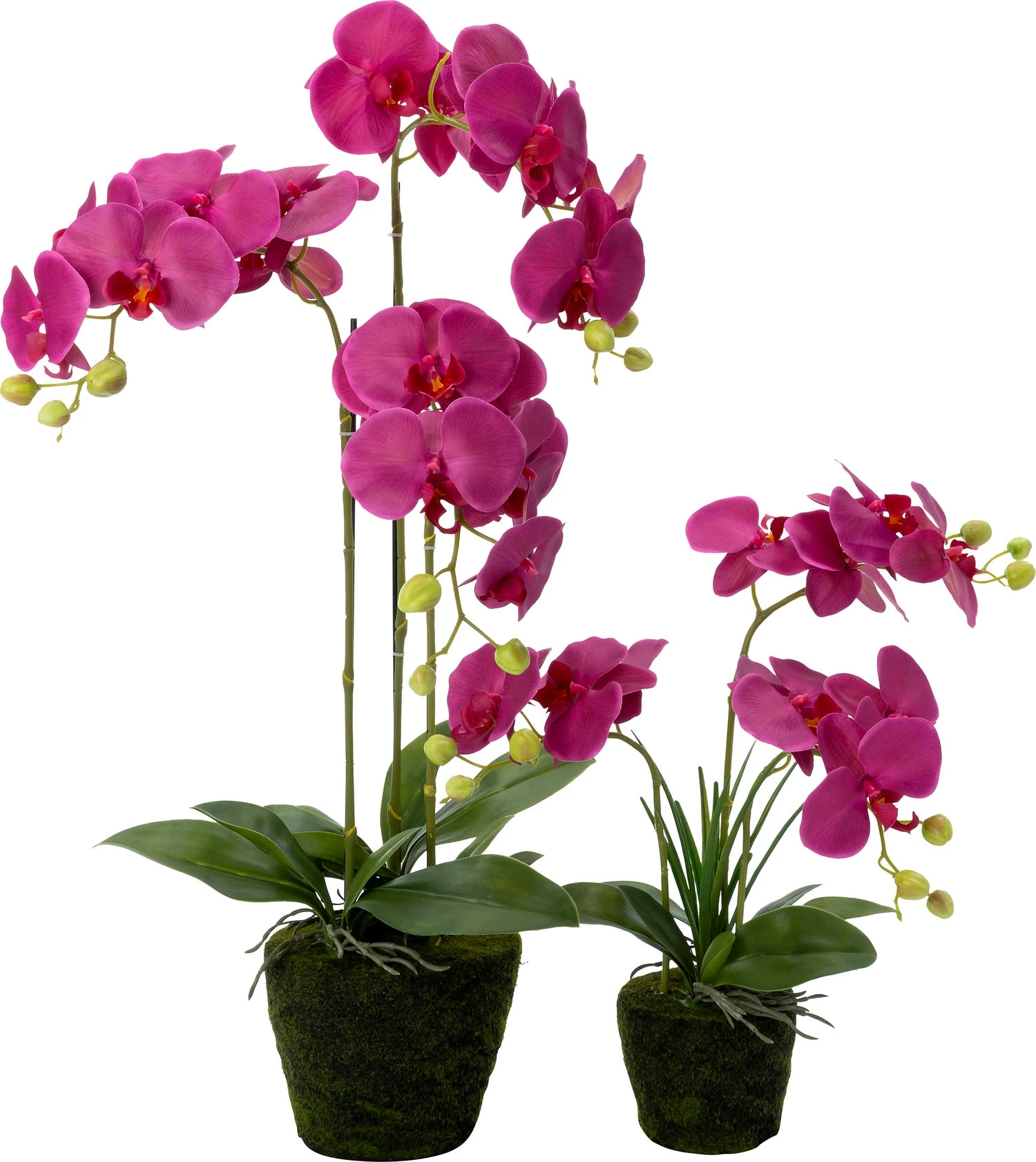 Intratuin Kunstplant Vlinderorchidee Donker Roze 43 X 50 X 50 Cm 2 Intratuin Kunstplant Vlinderorchidee Donker Roze 43 X 50 X 50 Cm - Afbeelding 2