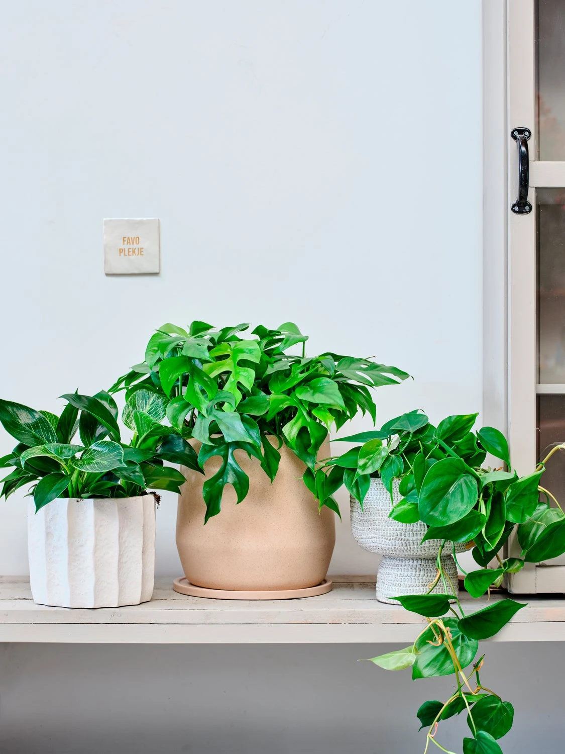 Intratuin Bloempot Faie Grijs / Wit D 20,5 H 19 Cm 4 Intratuin Bloempot Faie Grijs / Wit D 20,5 H 19 Cm - Afbeelding 4