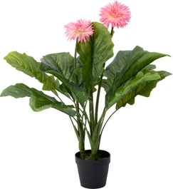 Intratuin Kunstplant Gerbera Roze 45 X 45 X 77 Cm 1 Intratuin Kunstplant Gerbera Roze 45 X 45 X 77 Cm