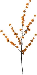 Intratuin Kunsttak Schoonvrucht Oranje H 130 Cm 1 Intratuin Kunsttak Schoonvrucht Oranje H 130 Cm