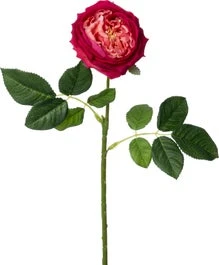 Intratuin Kunstbloem Roos Roze H 61 Cm 1 Intratuin Kunstbloem Roos Roze H 61 Cm