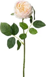 Intratuin Kunstbloem Roos Crème H 61 Cm 1 Intratuin Kunstbloem Roos Crème H 61 Cm